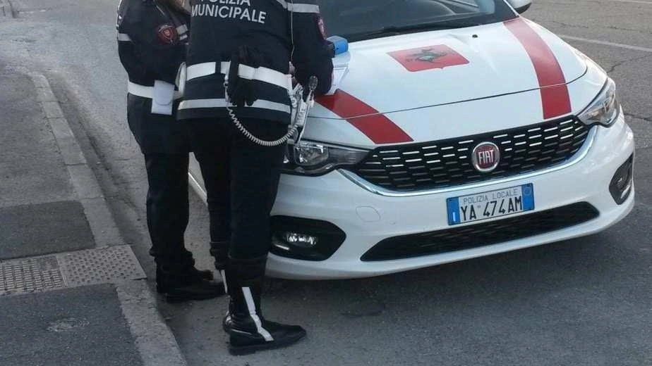Permessi disabili, giro di vite. Scatta la multa per 5 furbetti Permessi disabili, giro di vite. Scatta la multa per 5 furbetti