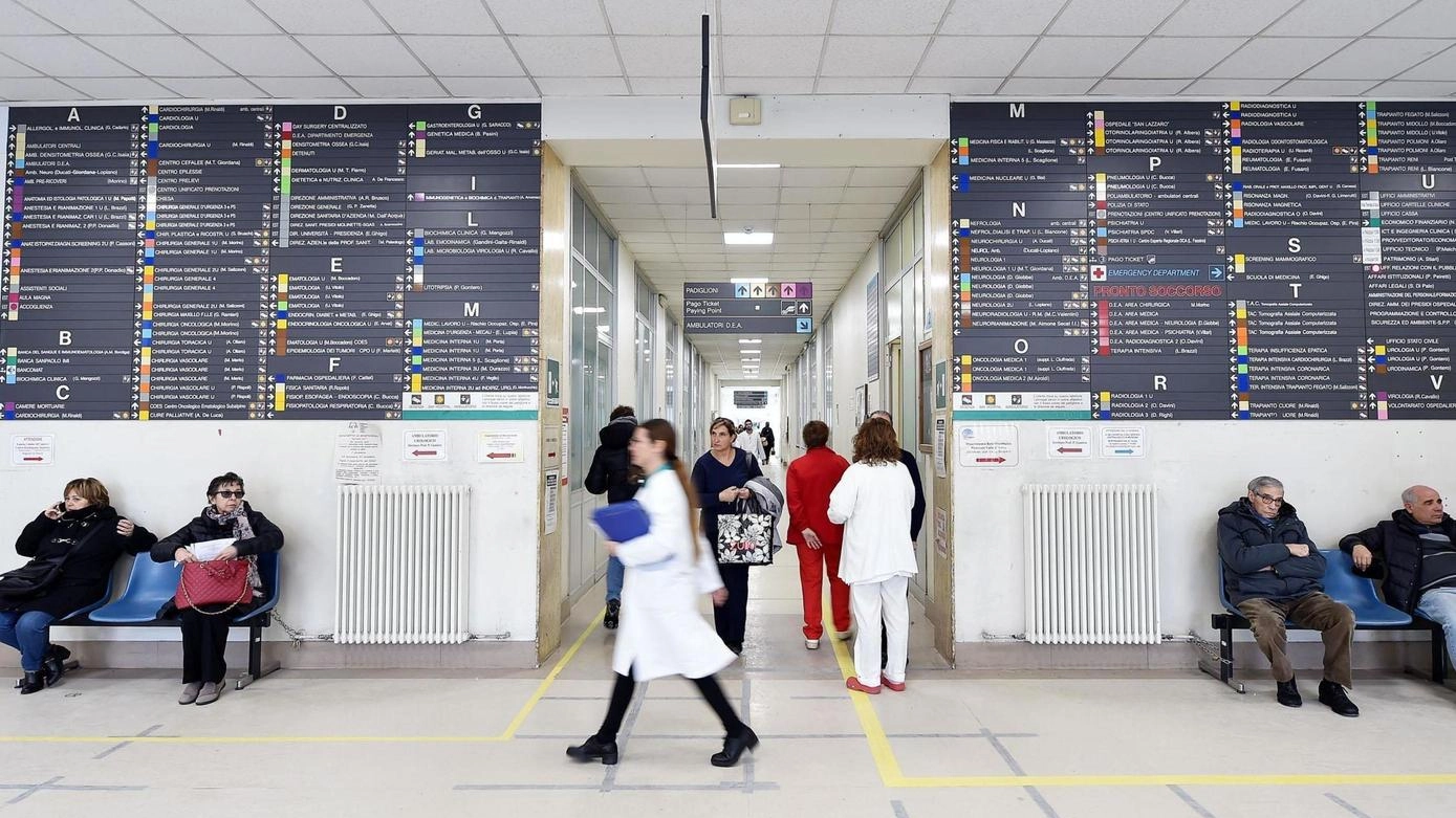 Nuova casa per gli studi medici. Da via Cavour a viale Europa