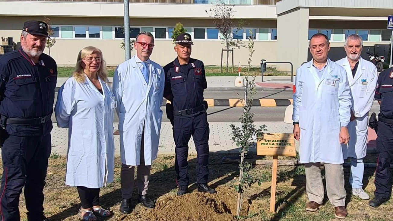 "Un albero per la vita". Piantato un leccio all’ospedale Misericordia