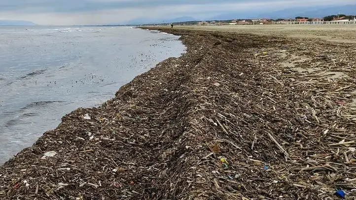 La battigia invasa dal lavarone