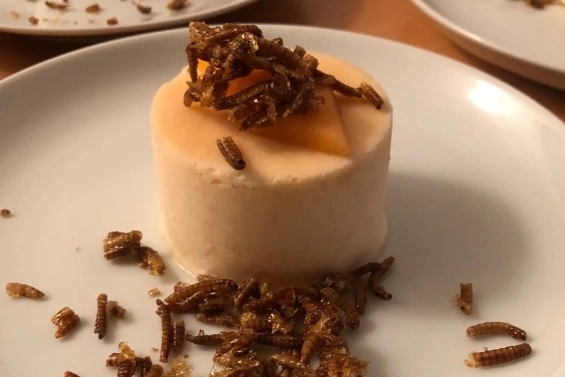 Dolce con larve (dall'account Instagram di Entonote)