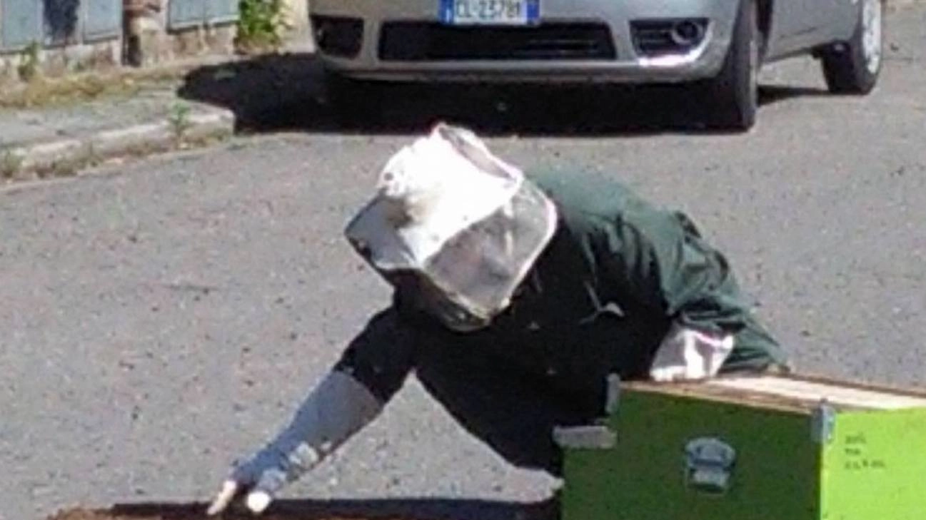 L'apicoltore mentre raccoglie gli insetti in mezzo alla strada a Ponsacco