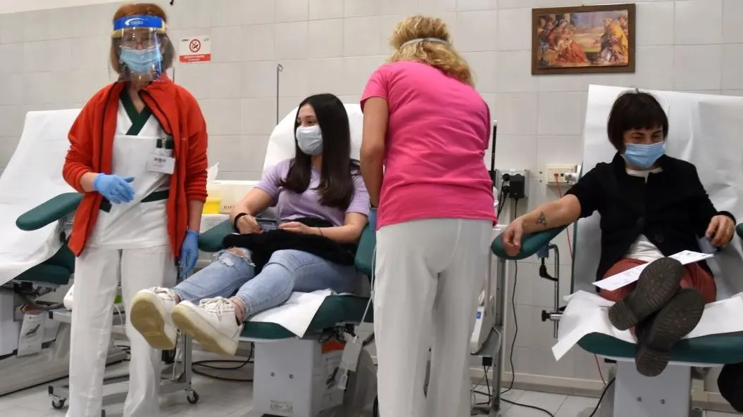 Raccolta sangue, boom donatrici Under 25 Città in controtendenza: qui è in crescita Raccolta sangue, boom donatrici Under 25 Città in controtendenza: qui è in crescita