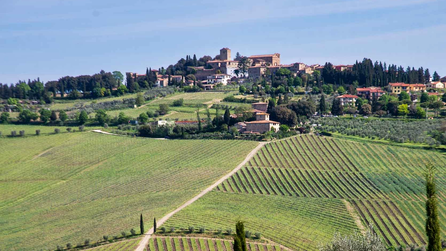 Vino al Vino Panzano in Chianti