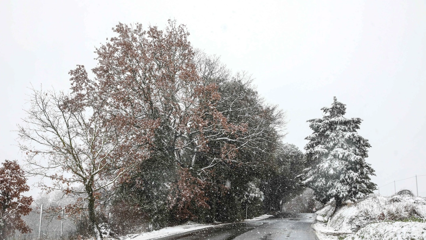 Nevicata sabato 3 febbraio a Gambassi Terme (fotocronache Germogli)