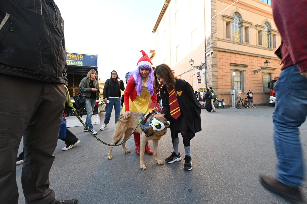 immagine di sfondo 1