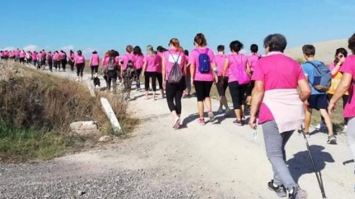 Fondazione. Veronesi: record di adesioni Fondazione. Veronesi: record di adesioni