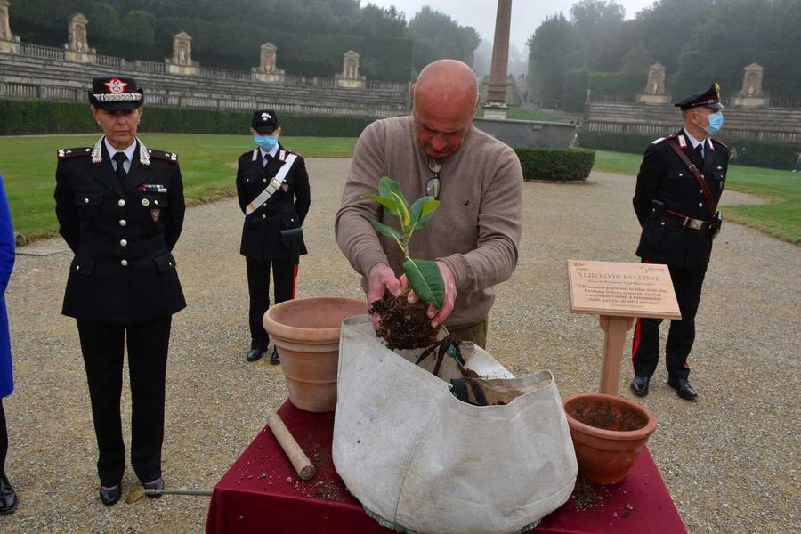 immagine di sfondo 4