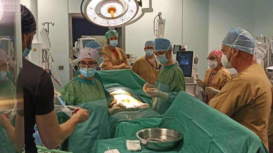 Nuova vita per 7 giovani Doppio espianto al Noa e all’Ospedale del Cuore nello stesso giorno Nuova vita per 7 giovani Doppio espianto al Noa e all’Ospedale del Cuore nello stesso giorno