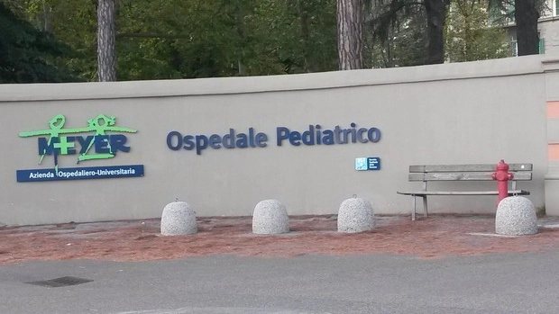 L'ospedale pediatrico Meyer di Firenze (Foto Ansa)
