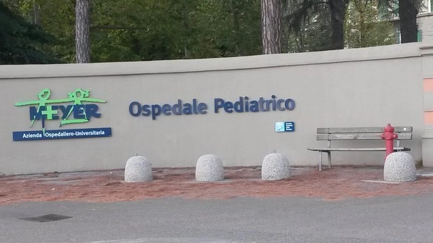 L'ospedale pediatrico Meyer di Firenze (Foto Ansa) L'ospedale pediatrico Meyer di Firenze (Foto Ansa)