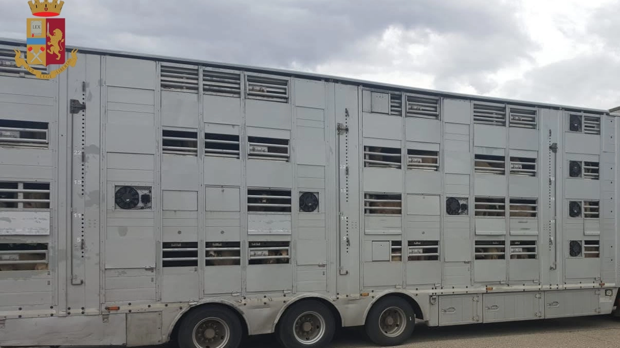Il camion fermato dalla Polstrada