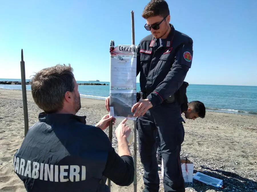 La sabbia è fangosa, sequestrati 1200 metri di spiaggia a Marinella di Sarzana