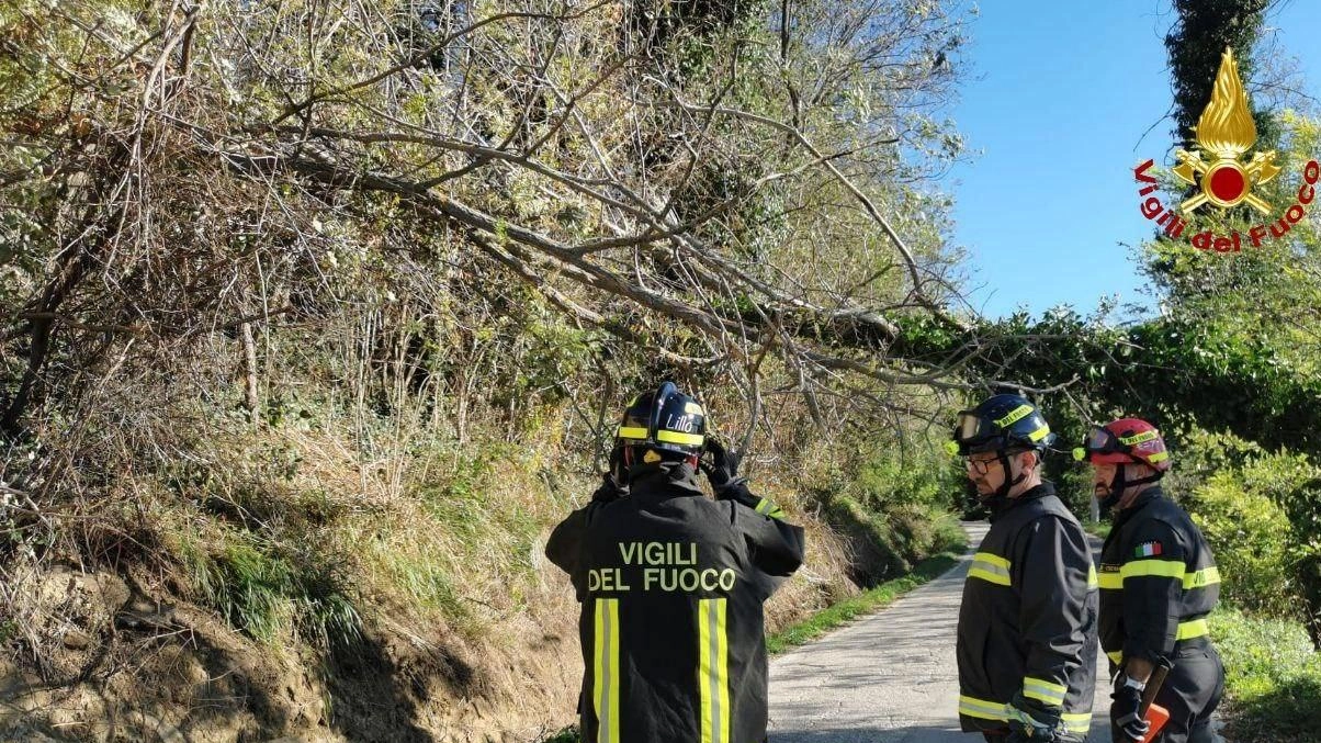 Allerta arancione. Le previsioni meteo sono ancora negative: temporali e allagamenti