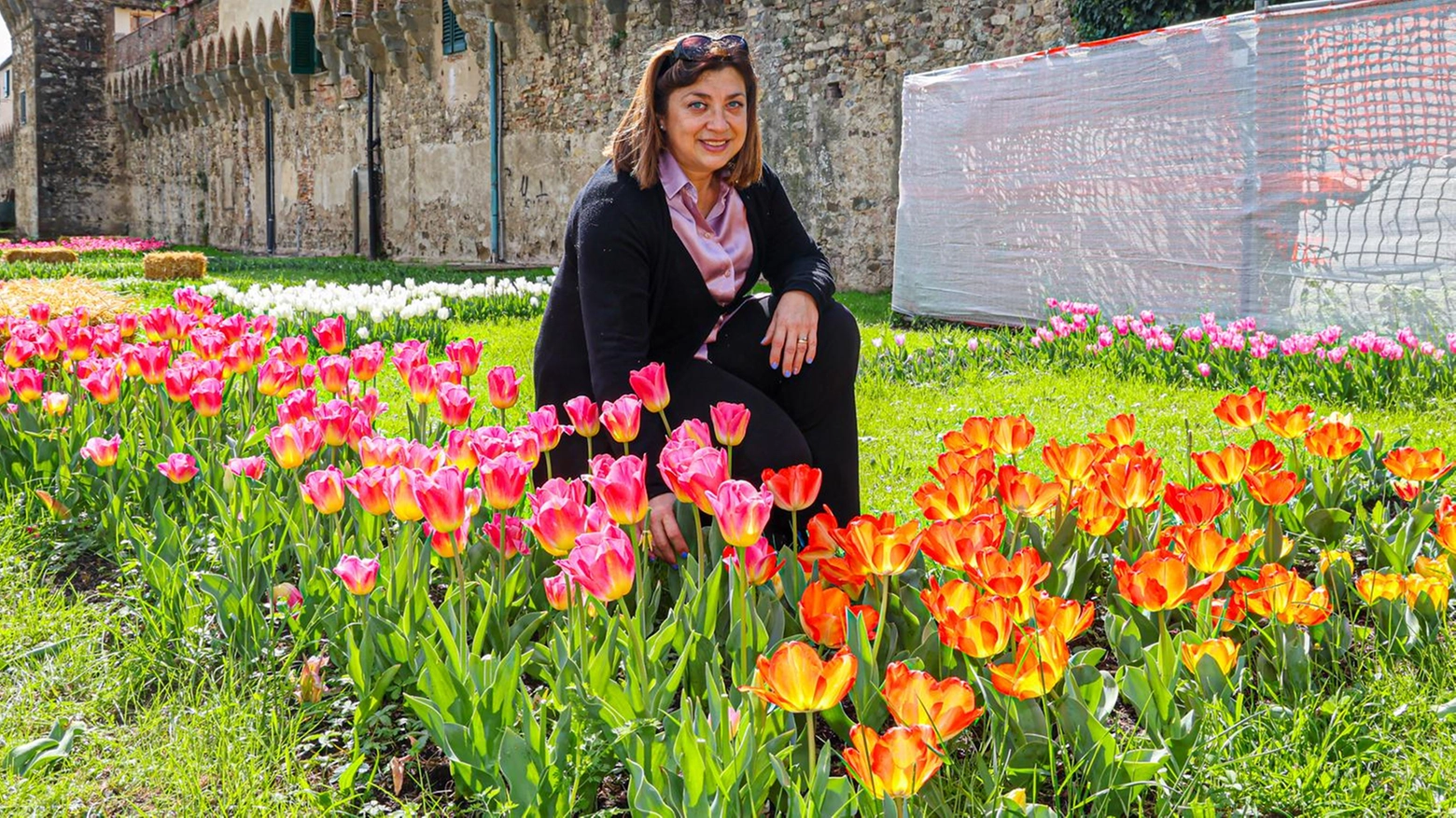Tulipani sotto le mura Ieri l’inaugurazione Tulipani sotto le mura Ieri l’inaugurazione
