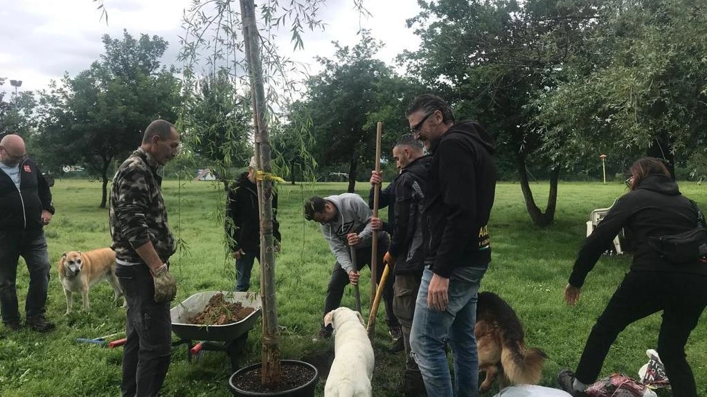 Un albero per ricordare Vanessa Morta travolta da pirata della strada Un albero per ricordare Vanessa Morta travolta da pirata della strada
