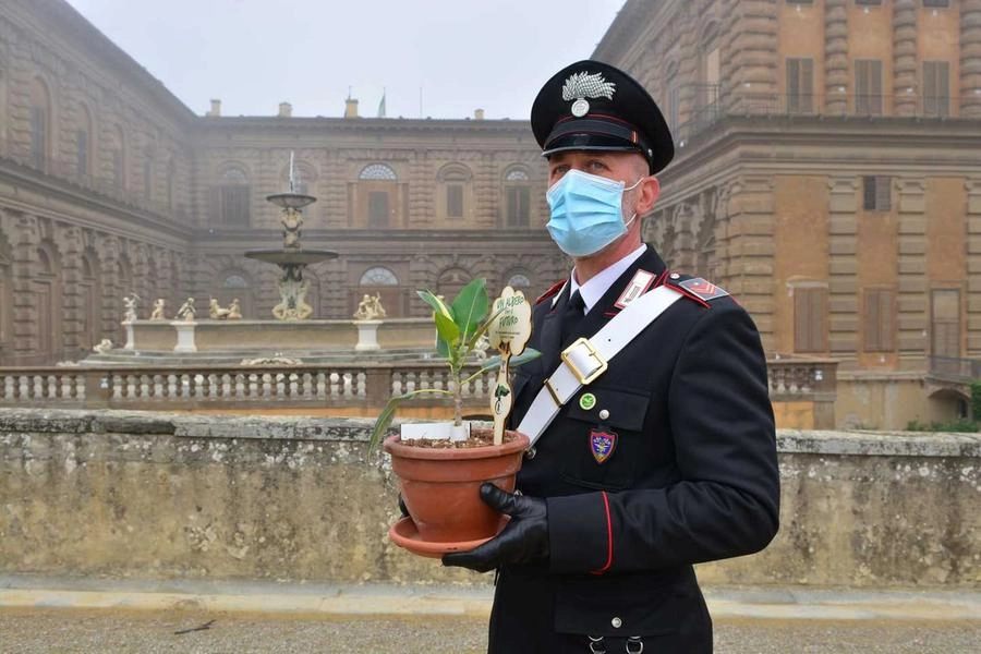 immagine di sfondo 1