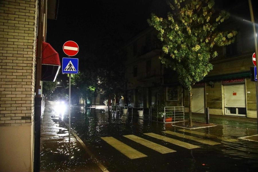 immagine di sfondo 9