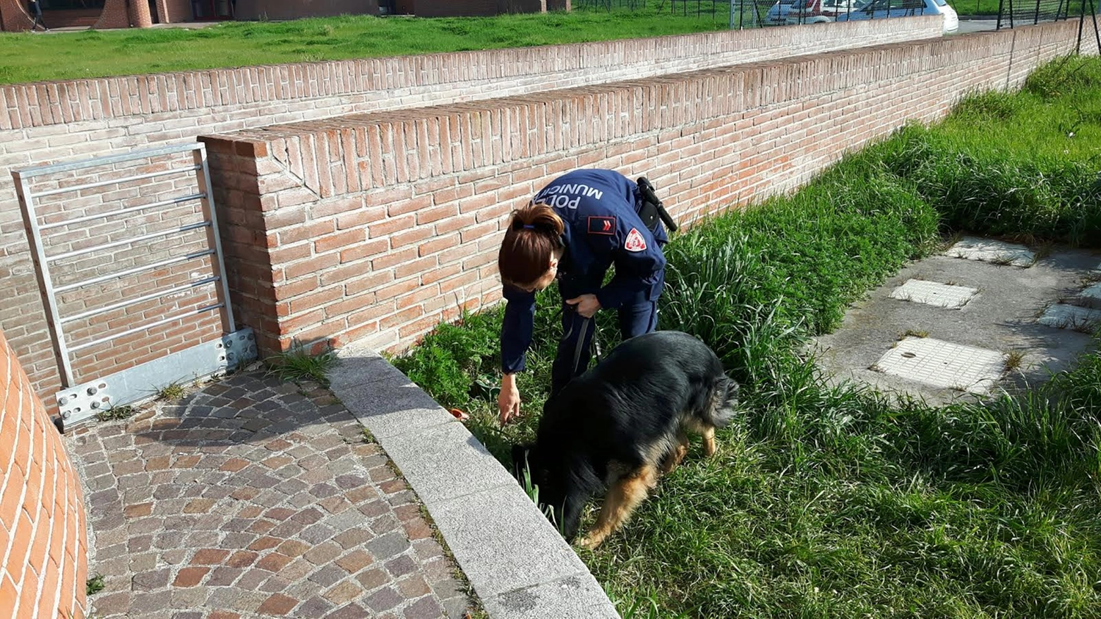 Akron e Devil sono i due cani antidroga in servizio a Prato