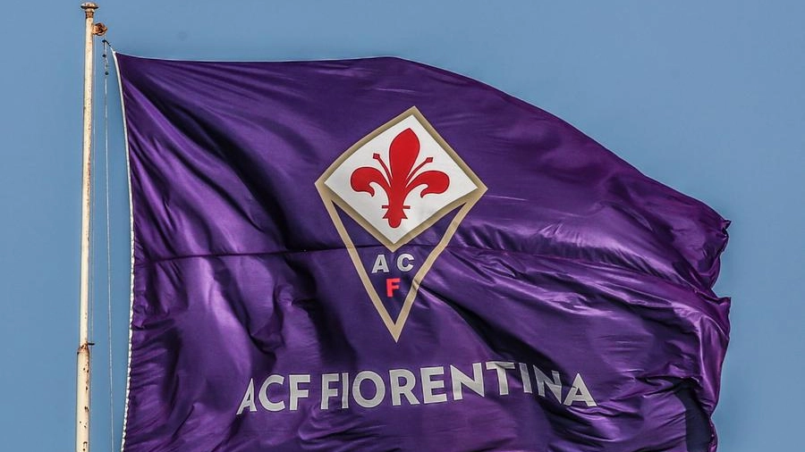 La bandiera della Fiorentina  (Germogli)