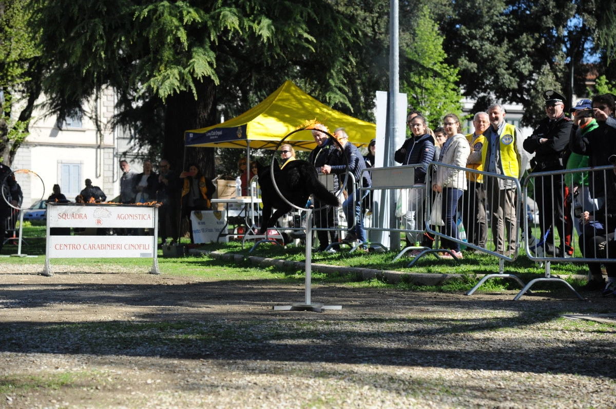 immagine di sfondo 9