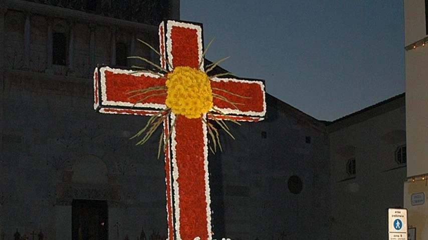 "Cinquemila fiori a Lucca per vestire la Croce Processionale"
"Cinquemila fiori a Lucca per vestire la Croce Processionale"