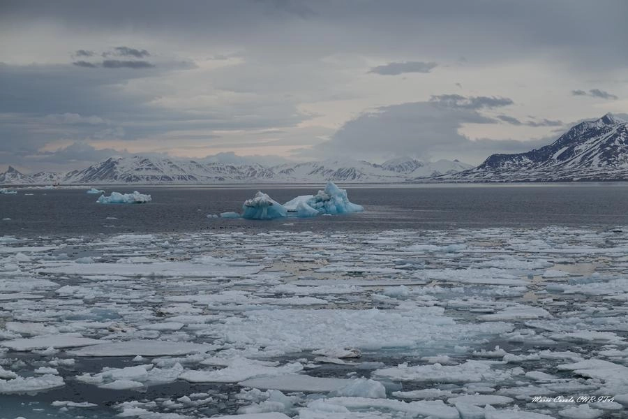 Fusione dei ghiacci e corsa all'Artico: una sfida globale