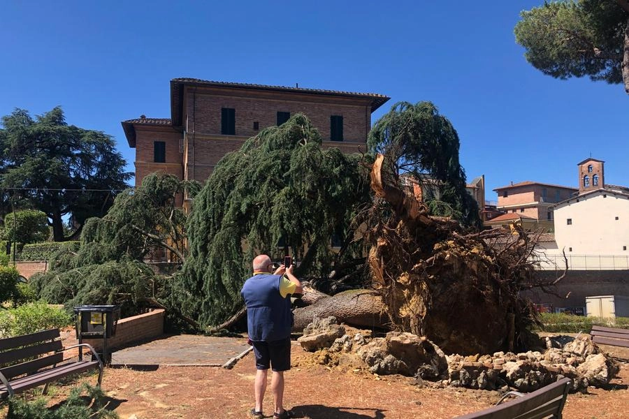 immagine di sfondo 6
