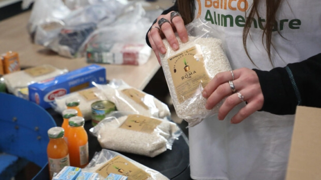 Raccolta alimentare (foto Ansa) 