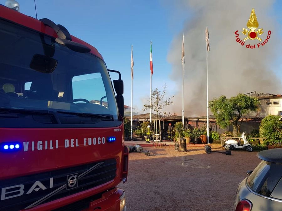 immagine di sfondo 1