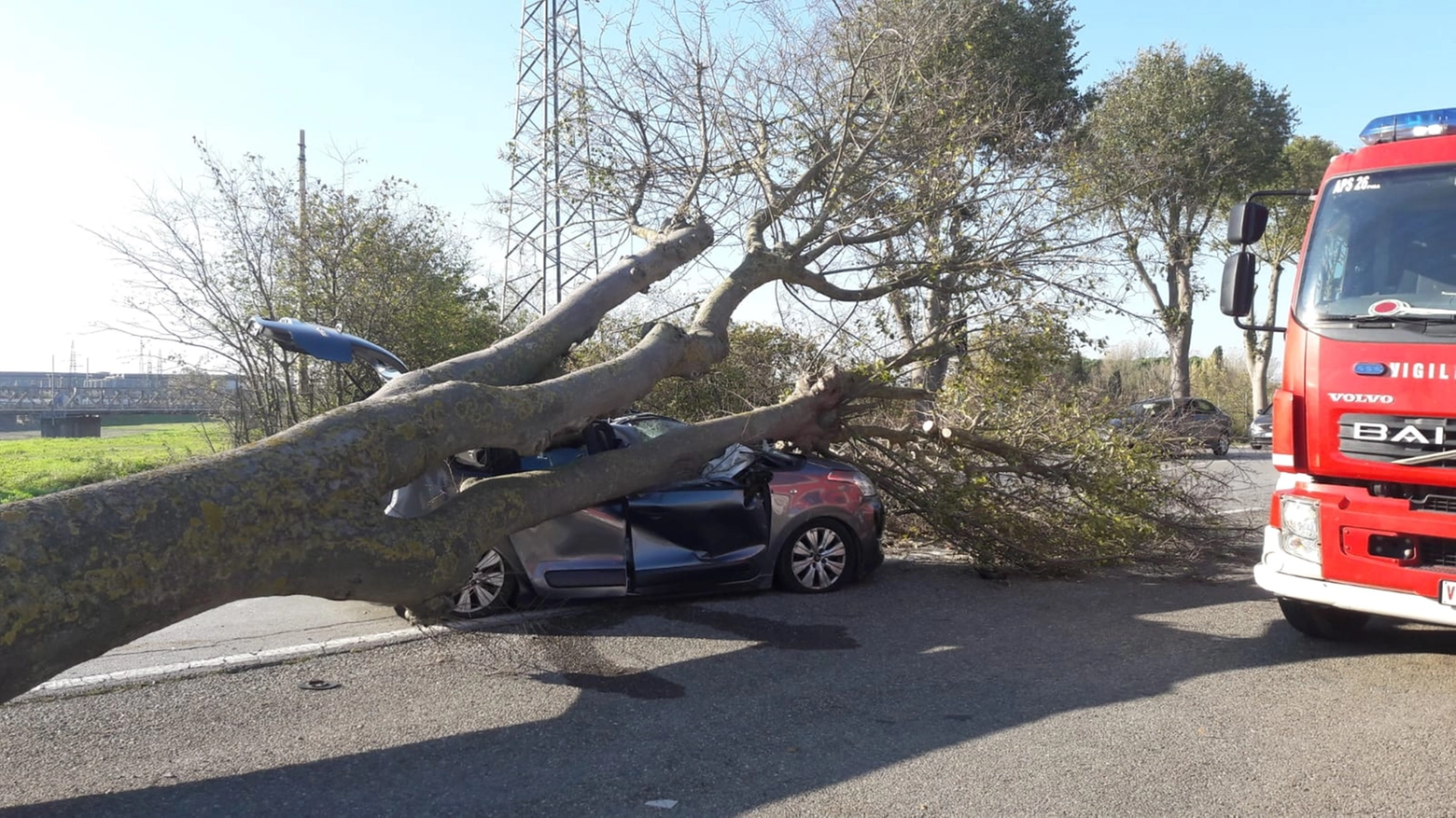 L'albero crollato su un'auto a Pontedera