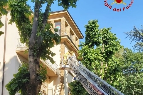 I vigili del fuoco impegnati nell'intervento per salvare le api