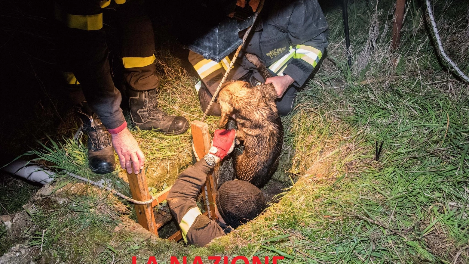 Cagnolina salvata dai pompieri