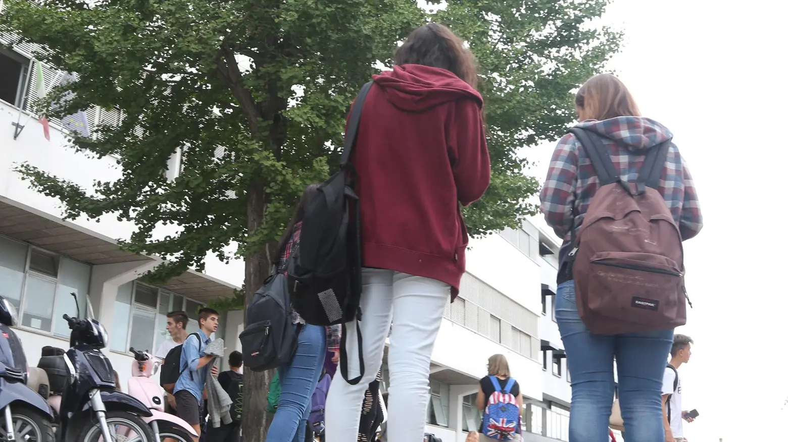 Scuola, la protesta "Questa struttura era nata per gli uffici non per le aule del liceo" Scuola, la protesta "Questa struttura era nata per gli uffici non per le aule del liceo"