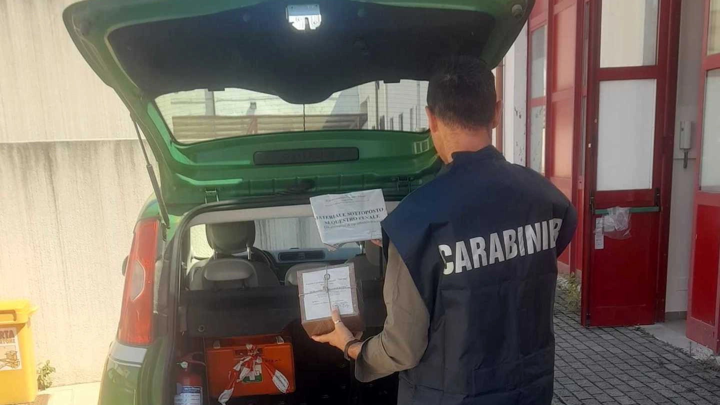 Operazione dei carabinieri del Nipaaf insieme agli operatori dell’Asl Centro