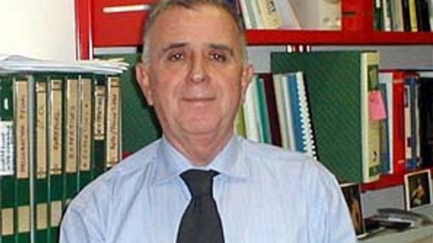 Il docente universitario Giulio Soldani