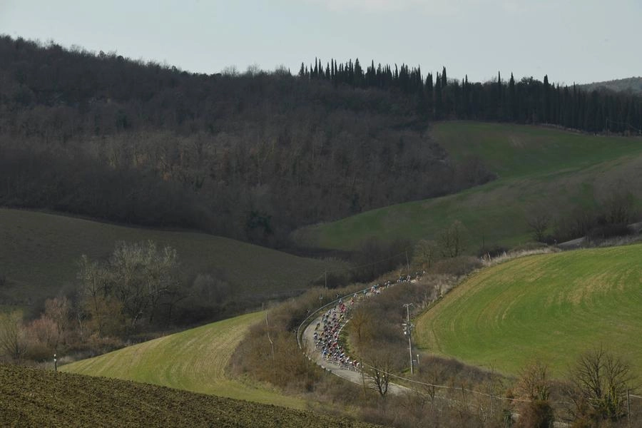 immagine di sfondo 9