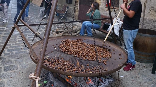 Ultimi preparativi per la "Festa della Castagna"