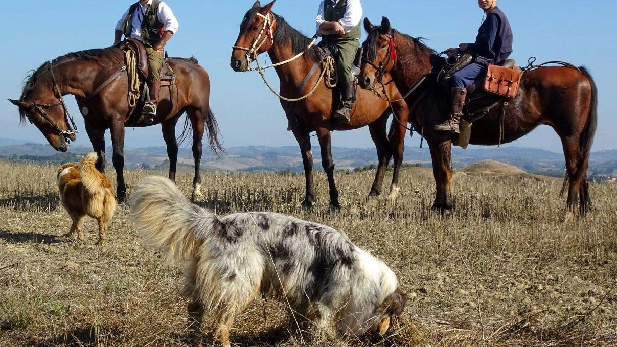 Alla scoperta della via Francigena. A piedi, in e-bike oppure a cavallo. Da venerdì tre giorni di iniziative