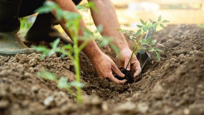 Agroecologia Agroecologia