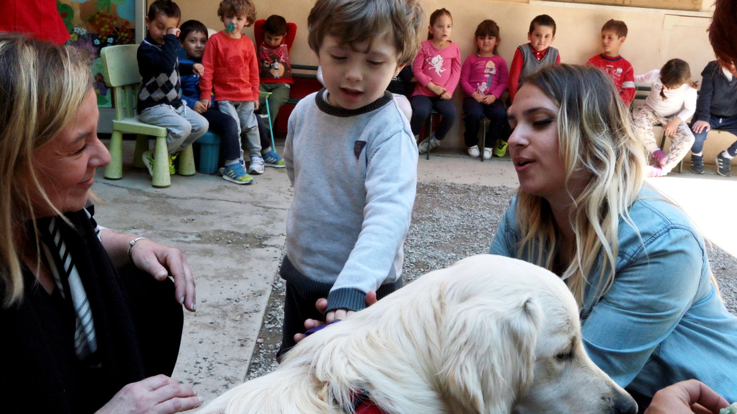 Pet therapy. Foto Gianni Nucci/Fotocronache Germogli