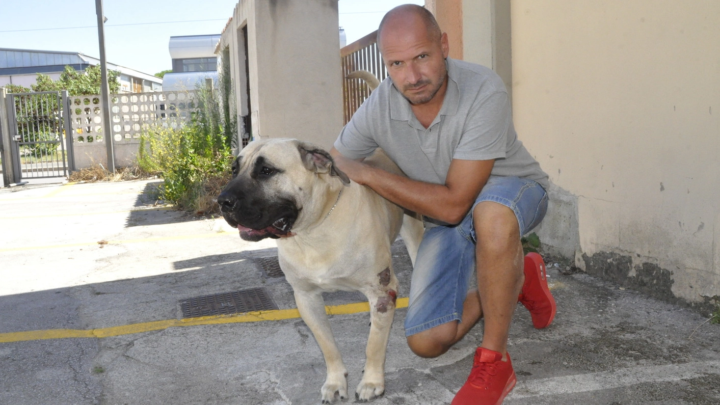 Luca Ovi insieme al suo dogo argentino, entrambi assaltati da due pitbull