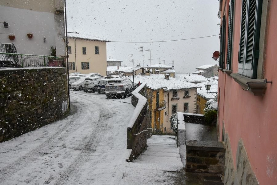 immagine di sfondo 11