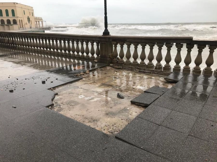 immagine di sfondo 3