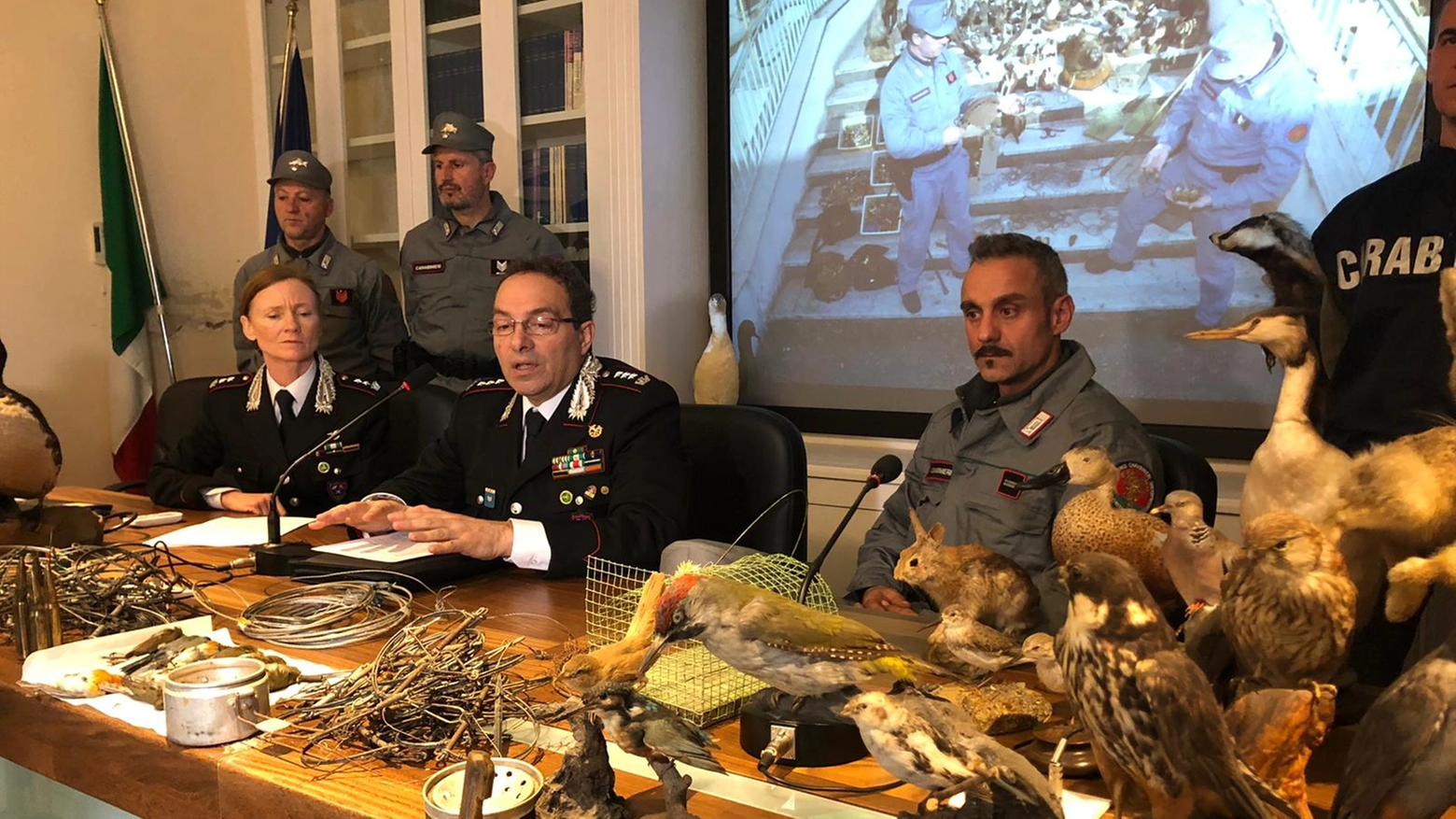 I carabinieri forestali con l'arsenale e gli animali sequestrati all'uomo