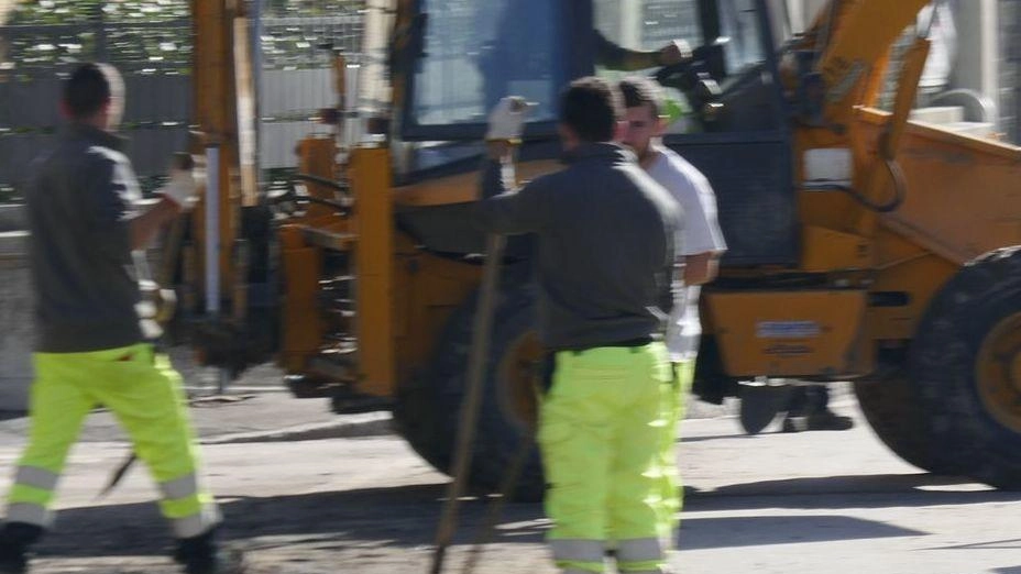 Alia, 120 mezzi in azione. Il nodo: mancano discariche Alia, 120 mezzi in azione. Il nodo: mancano discariche