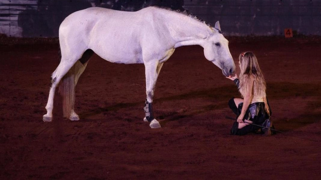 La guerriera gentile Dalla Mostra del Cavallo un messaggio forte anti-violenza di genere La guerriera gentile Dalla Mostra del Cavallo un messaggio forte anti-violenza di genere