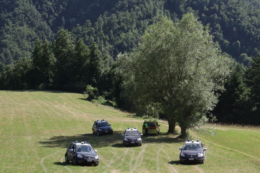 immagine di sfondo 20