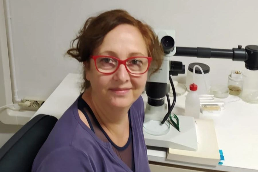 Annamaria Nocita curatrice della collezione ittiologica de La Specola