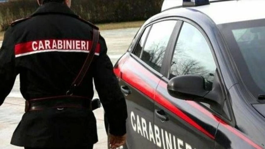 Carabinieri (immagine di repertorio)     